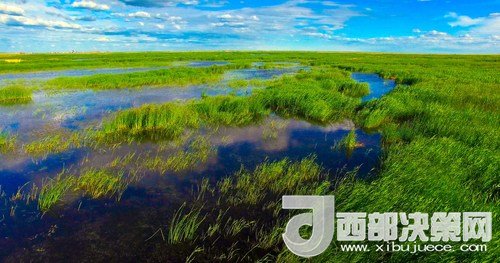 呼倫湖濕地。吳勇攝