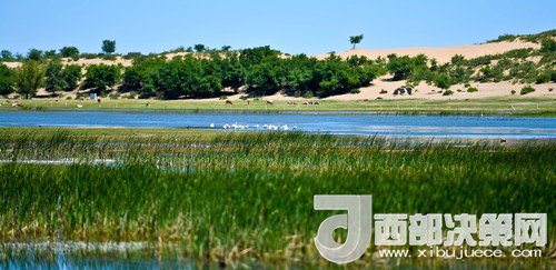 阿魯科爾沁保護(hù)區(qū)濕地沙丘。吳勇攝