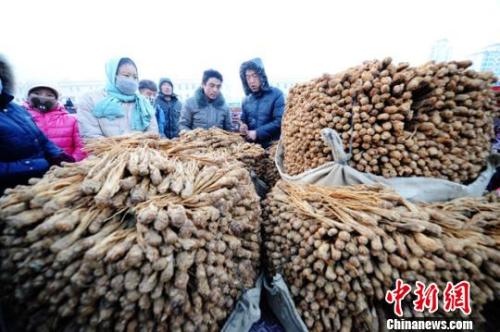 甘肅岷縣中國當歸城內(nèi)中藥材交易場景。楊艷敏 攝