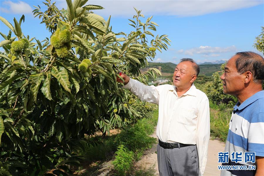 （新華全媒頭條·走向我們的小康生活·圖文互動）（11）長城腳下，小康村串成“珍珠鏈”