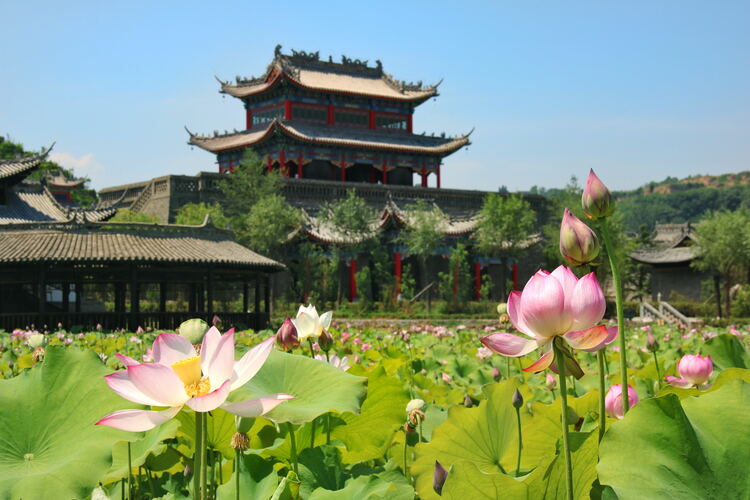 【云游渭南】心中若有桃花源，此處便是水云間！待疫情散盡，一起來渭南桃花源賞美景、觀民俗、享美食_fororder_2